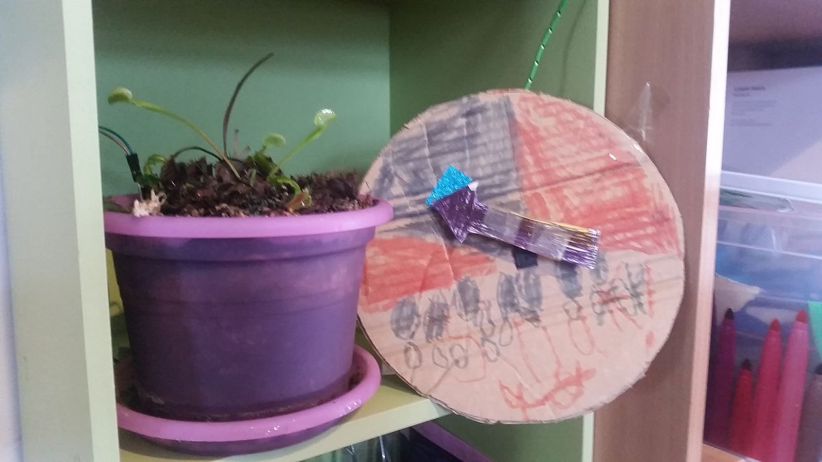 school holiday project - pot plant meter